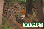 Picture 0018