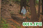 Picture 0019