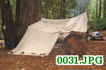 Picture 0031