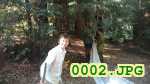 Picture 0002