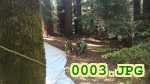 Picture 0003