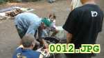 Picture 0012