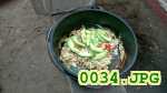 Picture 0034