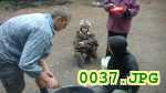 Picture 0037