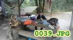 Picture 0039