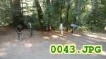 Picture 0043