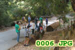 Picture 0006