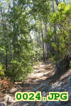 Picture 0024