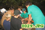 Picture 0029
