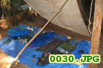 Picture 0030