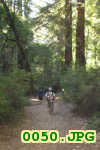 Picture 0050