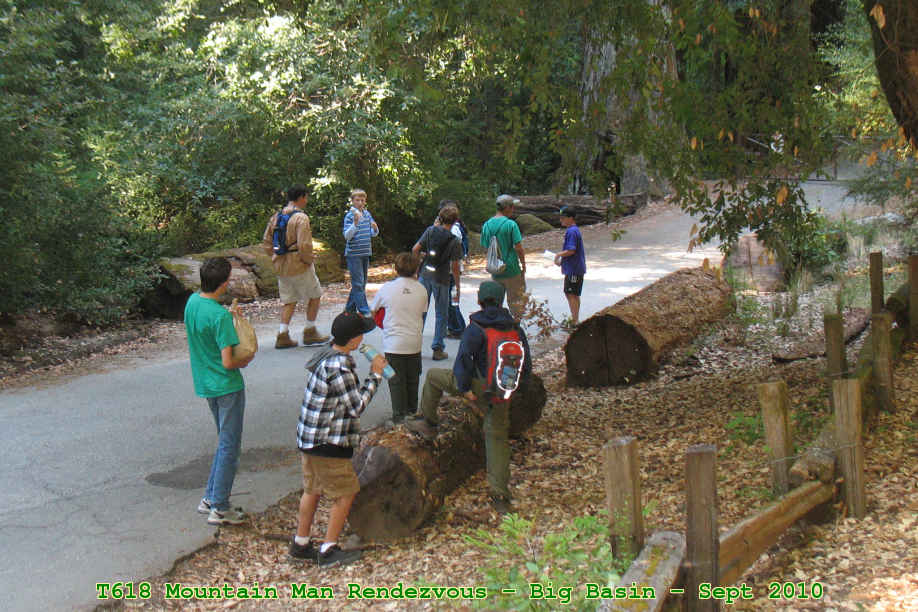 Picture 0006