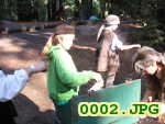 Picture 0002