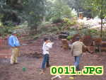 Picture 0011
