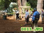 Picture 0013