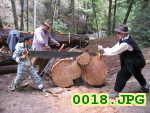 Picture 0018