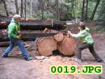 Picture 0019