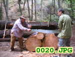 Picture 0020