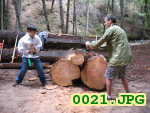 Picture 0021