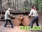 Picture 0022