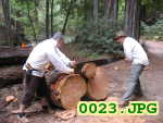 Picture 0023