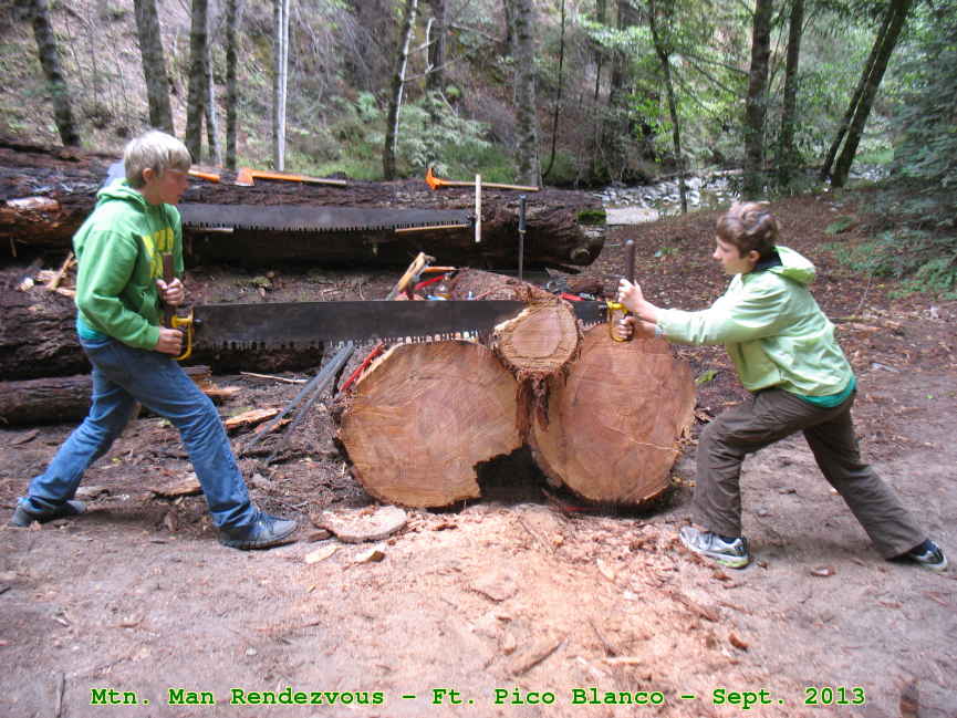 Picture 0019