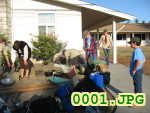 Picture 0001