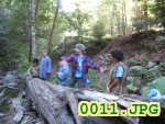 Picture 0011