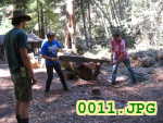 Picture 0011