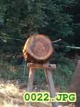 Picture 0022