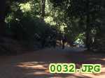 Picture 0032