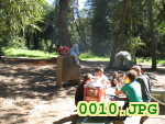 Picture 0010