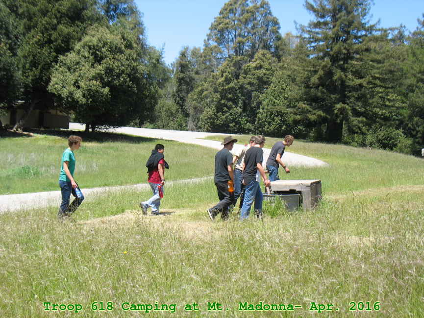 Picture 0003