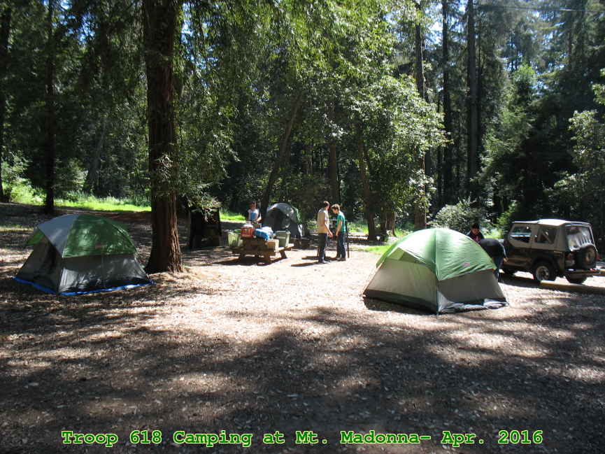 Picture 0005