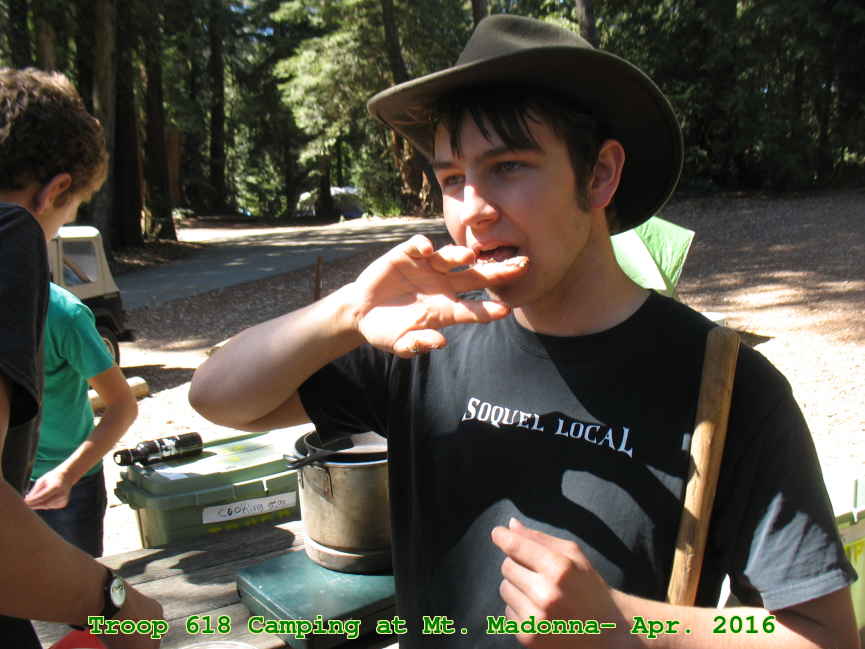 Picture 0008