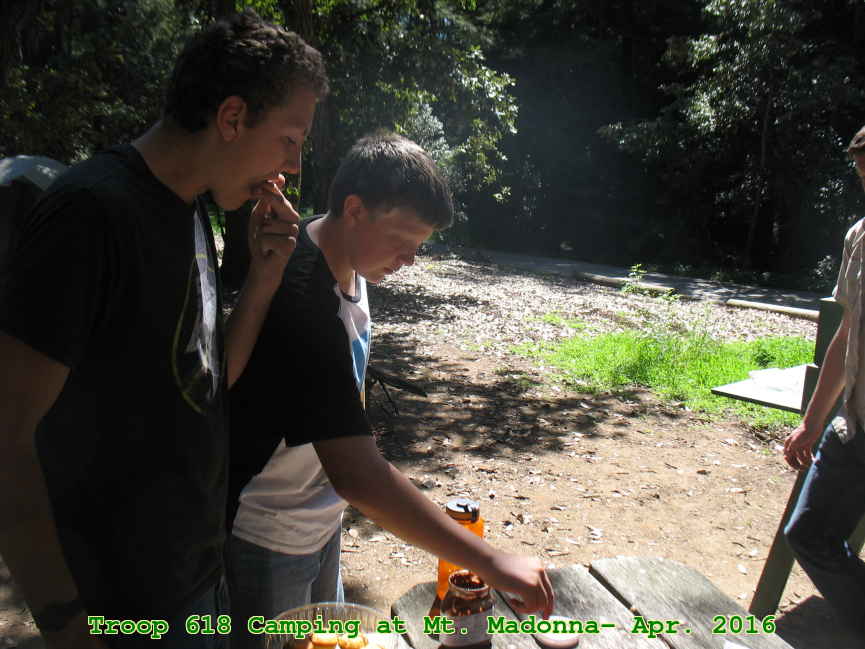 Picture 0009