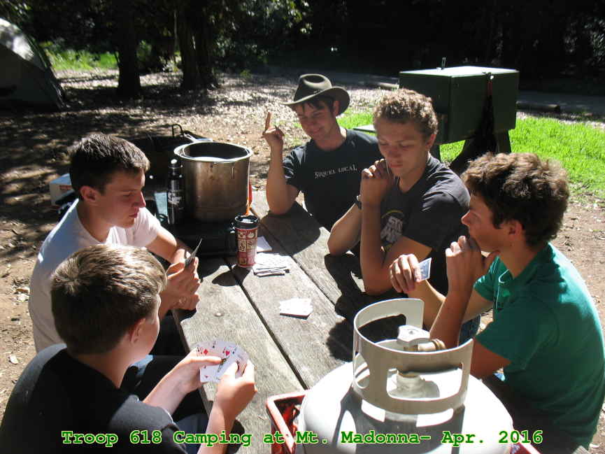 Picture 0011