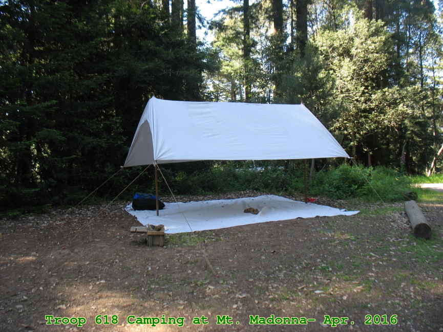 Picture 0012