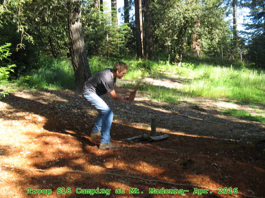 Picture 0017