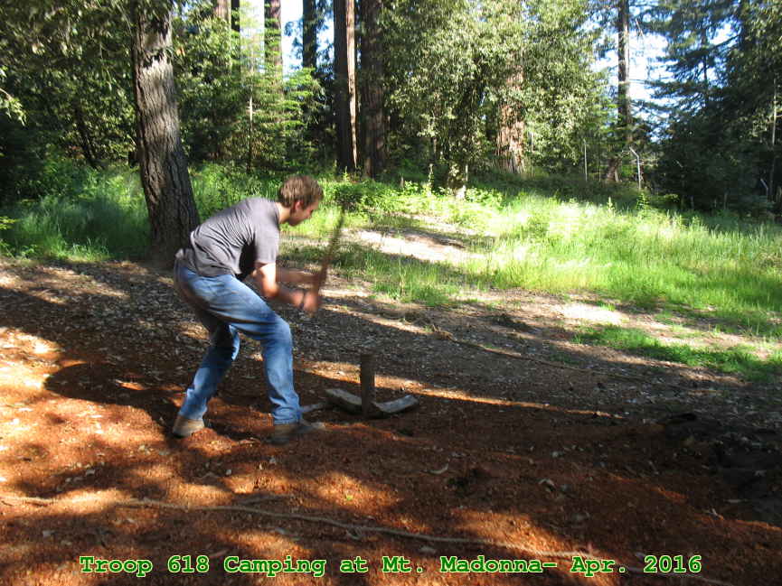 Picture 0018