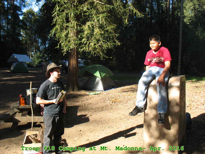 Picture 0019