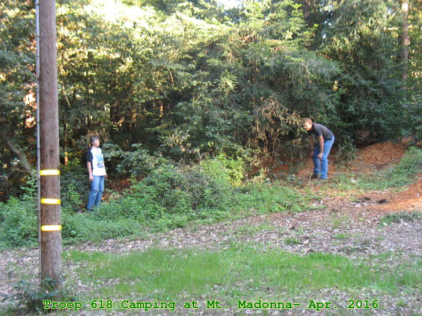 Picture 0026
