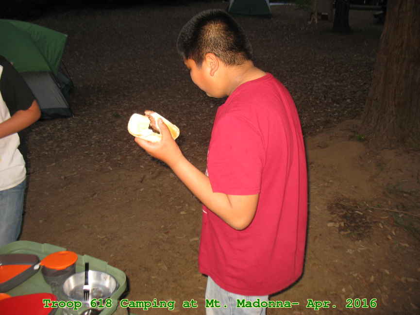 Picture 0039