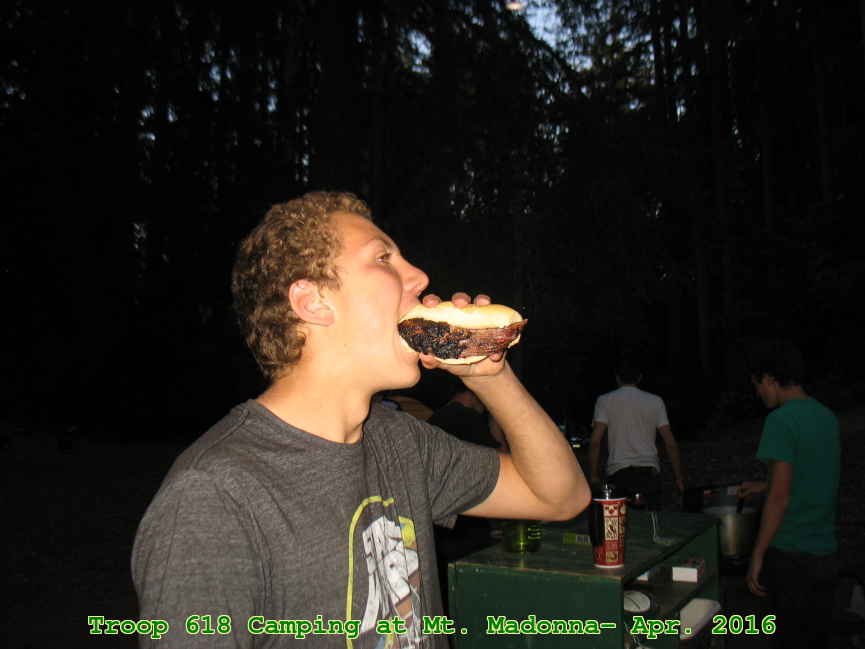 Picture 0042