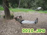 Picture 0010