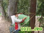 Picture 0011