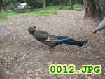 Picture 0012