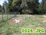 Picture 0026