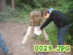 Picture 0029