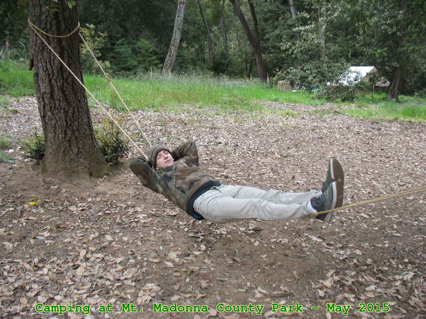 Picture 0010